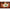 Het Wit Ovaal Bord Platinarand 26,7cm