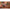 Kiritsuke-mes 210 mm - Bunka Damascus-collectie