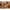 Damascus fileermes - lemmet van 200 mm