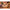 De Kotai Bunka Santoku Mes Bamboe Saya 170mm