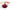 Het Fuchsia Dinerbord