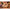 KOTAI Bunka Petty Mes 135mm met Bamboe Saya
