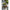 De Teak Root Nordic Onderzetter Naturel