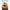 De Seagrass Shell Pannenonderzetter Wit